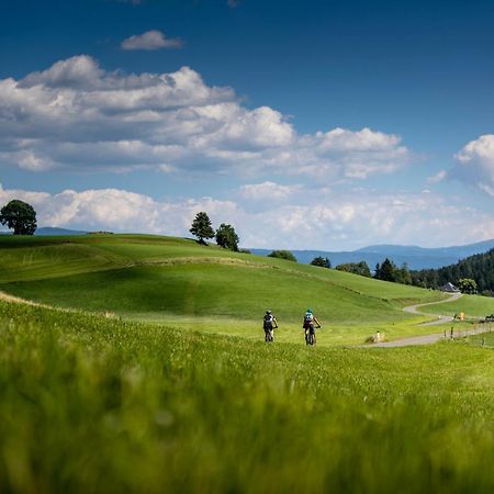 Gartenloft An Der Mur Murau Dış mekan fotoğraf