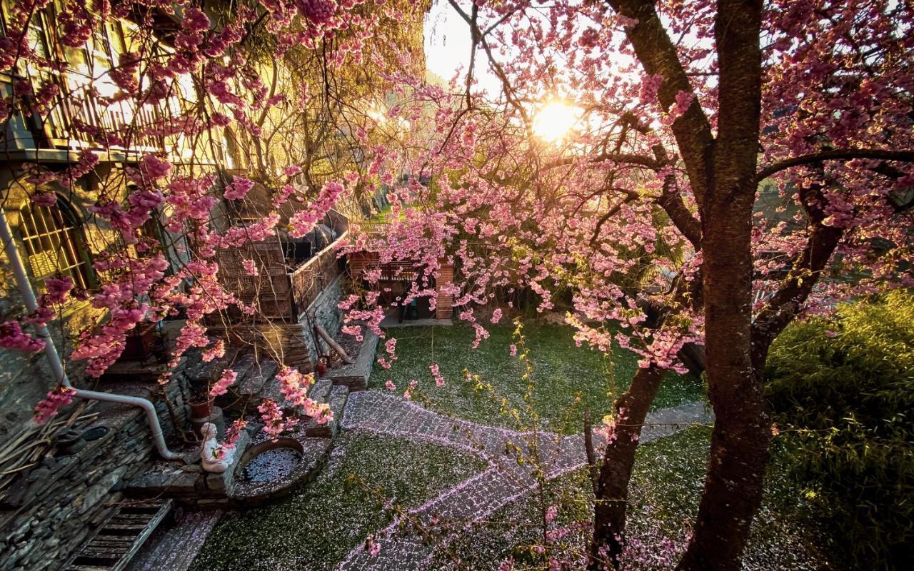 Gartenloft An Der Mur Murau Dış mekan fotoğraf