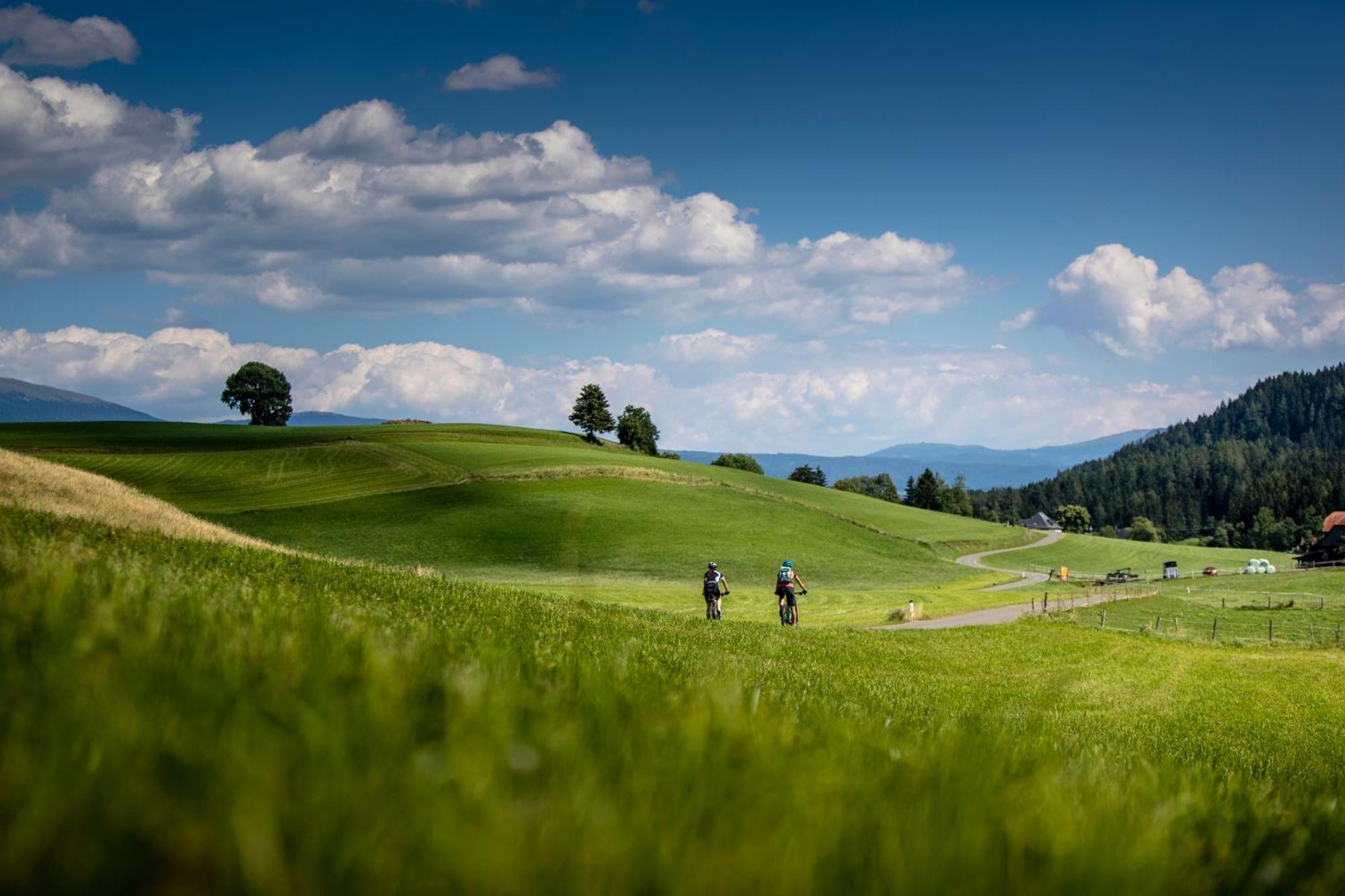 Gartenloft An Der Mur Murau Dış mekan fotoğraf