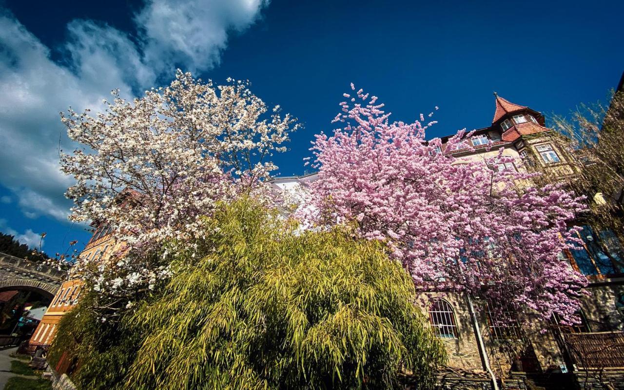 Gartenloft An Der Mur Murau Dış mekan fotoğraf