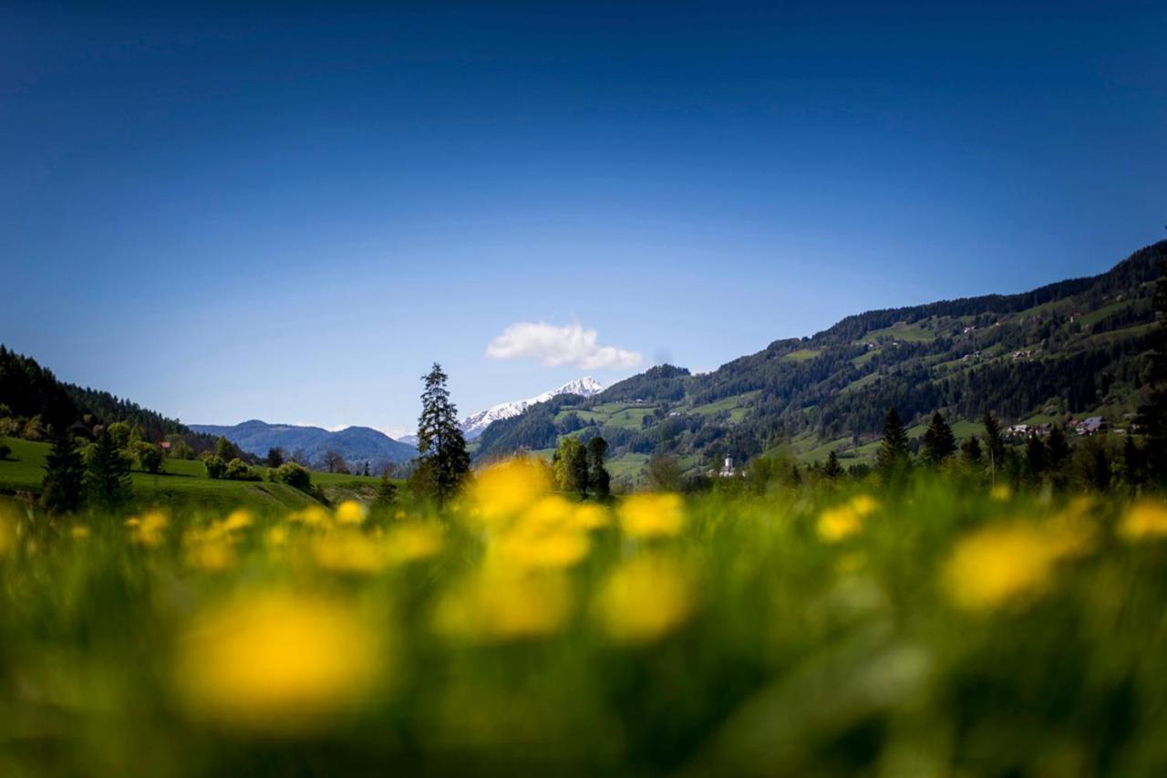 Gartenloft An Der Mur Murau Dış mekan fotoğraf