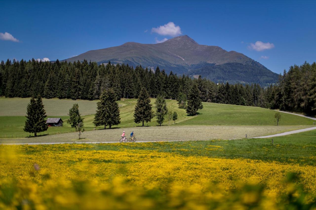 Gartenloft An Der Mur Murau Dış mekan fotoğraf