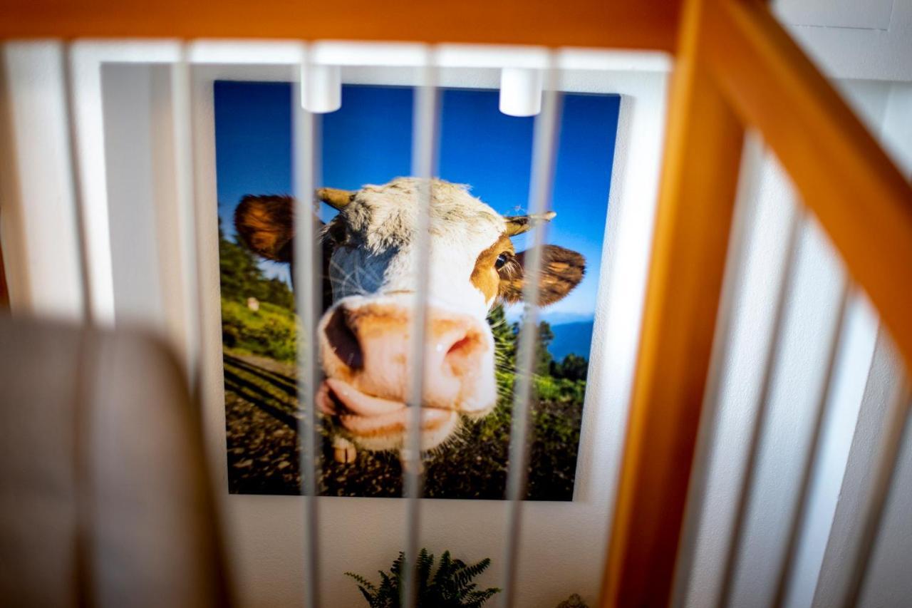 Gartenloft An Der Mur Murau Dış mekan fotoğraf
